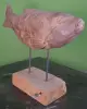Product image 6 of the product “carved koi wood on stand S made from teak root pieces, 53cm length ”
